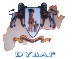 dybaf removebg preview